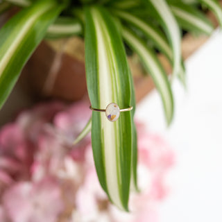 Milky Celebration MINI | Breastmilk Ring